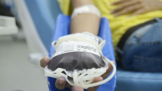 Fundação Pró-Sangue incentiva doação antes de se vacinar