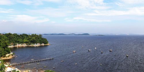 Da poluição ao berçário da vida marinha: passeio atrai turistas no Rio Imagem referente a Da poluição ao berçário da vida marinha: passeio atrai turistas no Rio