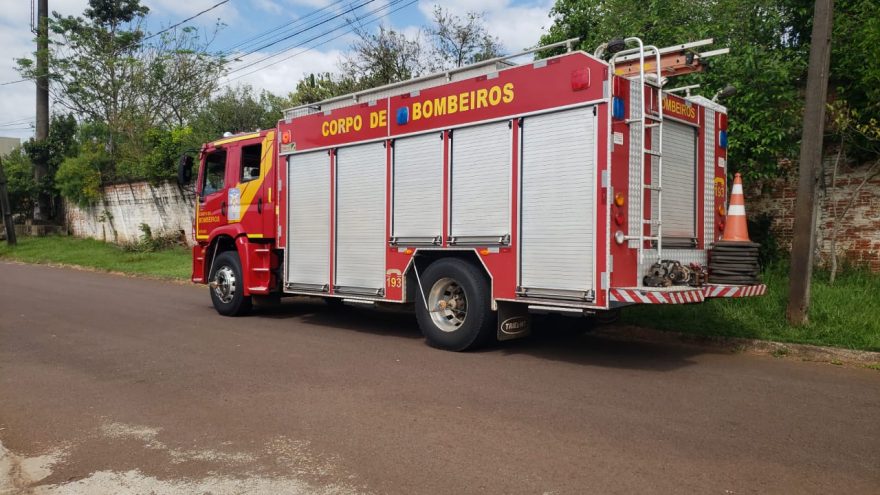 Cachorro fica com a pata presa em estrutura e Bombeiros são acionados para resgatá-lo
