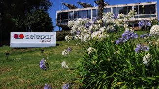 Em 100 dias, Celepar cria ferramentas para finanças públicas, educação e negócios