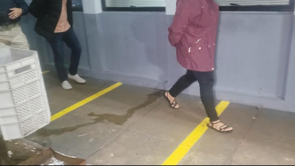 Casal é detido com 51 kg de cocaína em Cascavel