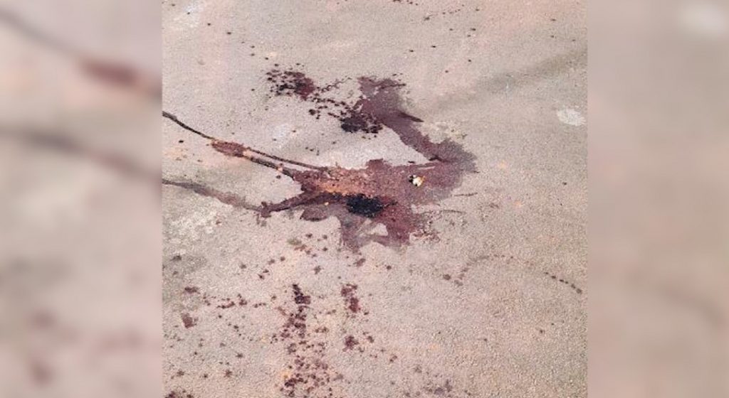 Sogro mata genro que não queria entregar celular para a filha em Guarapuava