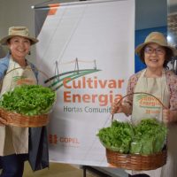 Com apoio da Copel, dez famílias cultivarão horta comunitária sob linha de energia em Londrina