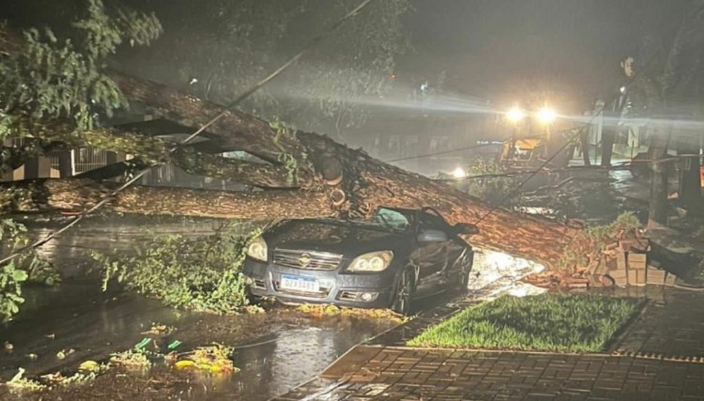 Árvore de grande porte cai em cima de carro durante temporal em Cafelândia