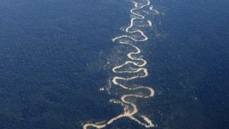 Garimpeiros reagem à ação da PRF e morrem na Terra Indígena Yanomami