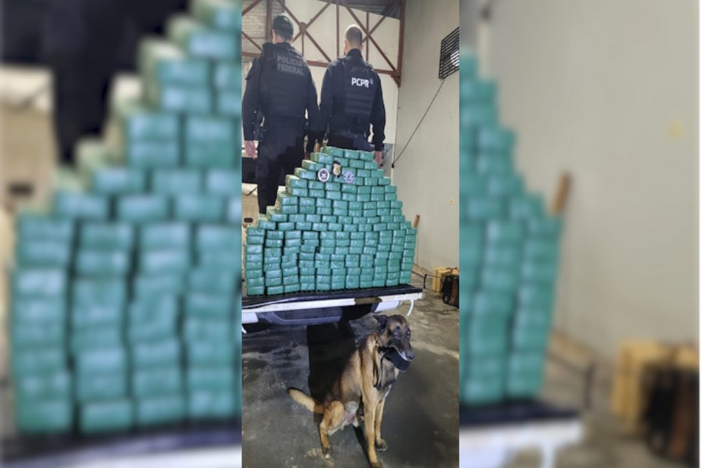 Downfall: operação conjunta prende 28 pessoas por tráfico internacional de drogas