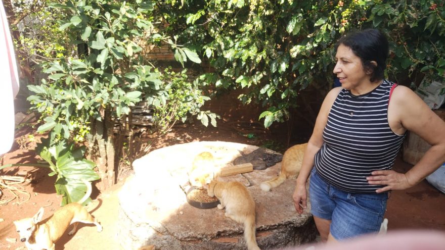 Com 19 gatos e 28 cachorros, acolhedora pede ajuda para comprar ração e remédios
