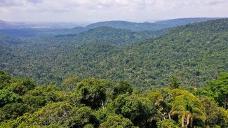 Lula cobra ajuda de países por preservação ambiental