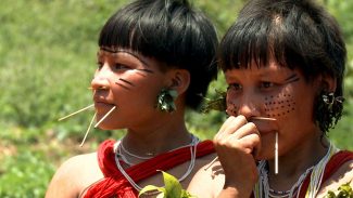 Militares vão distribuir mais de 12 mil cestas básicas aos yanomami