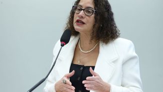 Ministra da Ciência e Tecnologia defende atualização da Lei do Bem