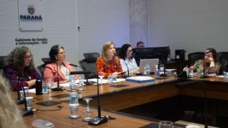Conselho dos Direitos da Mulher começa a organizar eleição da nova diretoria