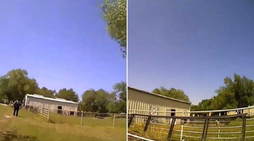Vídeo: Policiais escutam gritos de socorro, vão verificar e descobrem ser cabra berrando