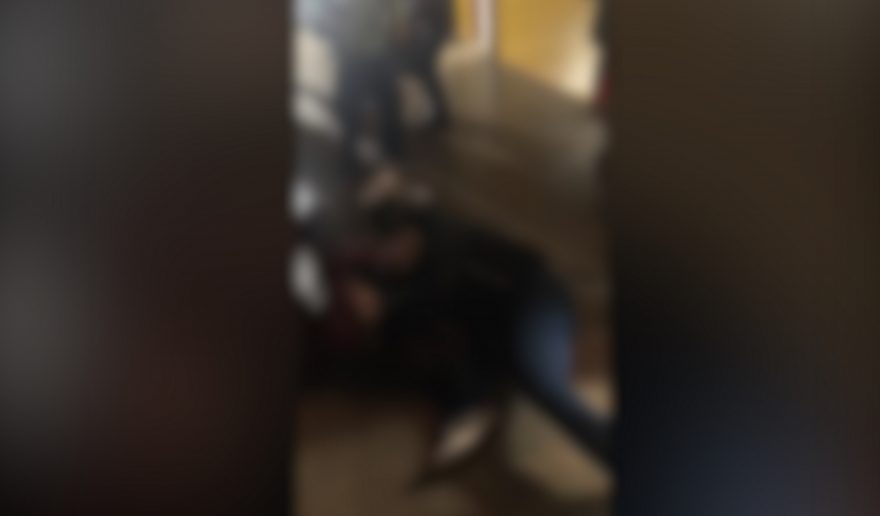 Alunas saem no soco em colégio no Paulo Godoy e Polícia é acionada; veja vídeo