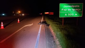Homem morre ao ser atropelado na BR-277, em Cascavel