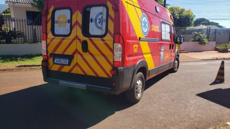 Criança de um ano e sete meses fica ferida ao ser atacada por Chow-Chow