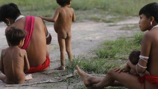 Emergência na terra yanomami só pode terminar com política perene