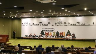 Povos da Amazônia serão protagonistas da proposta brasileira na OTCA