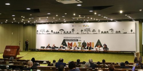 Povos da Amazônia serão protagonistas da proposta brasileira na OTCA Imagem referente a Povos da Amazônia serão protagonistas da proposta brasileira na OTCA