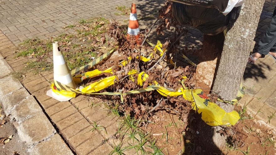 Internauta relata que buraco abriu depois das chuvas e pede providências da Prefeitura