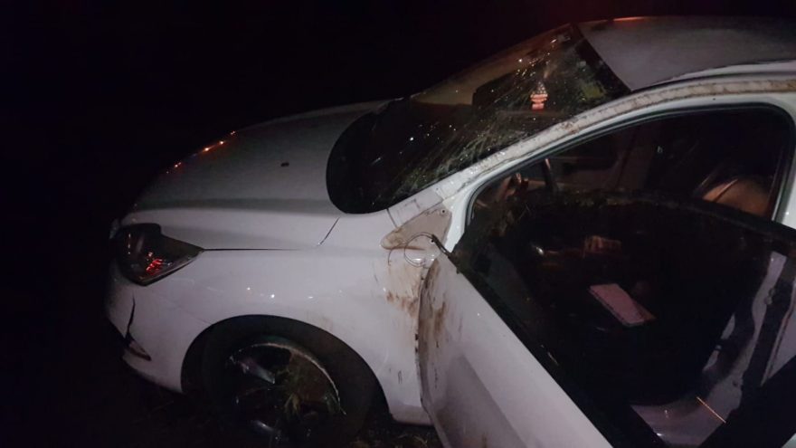 Motorista desvia de veículo, perde o controle da direção e capota na BR-467 em Cascavel