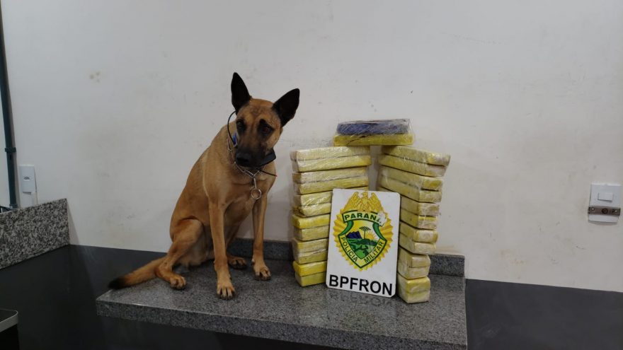 Menor em posse de 26 tabletes de maconha é apreendida pelo BPFron