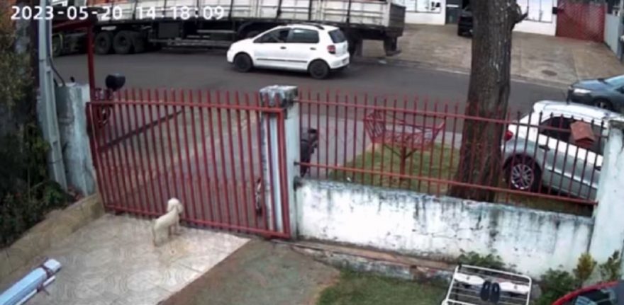 Dono de caminhão pede ajuda para localizar motorista que colidiu contra rodoar