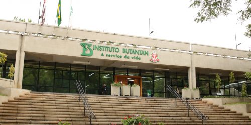 Butantan começa a desenvolver vacina contra gripe aviária