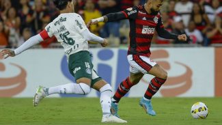 Flamengo e Palmeiras lideram lista de clubes com maior receita em 2022