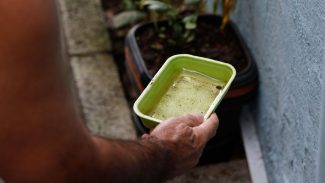 Casos de dengue na cidade de São Paulo chegam a 7.230