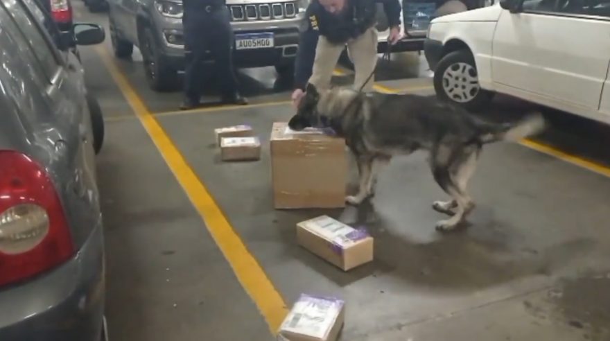 Cascavelense é detida pela PRF ao tentar enviar cocaína para a Nova Zelândia