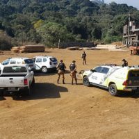 Operação conjunta combate comércio de madeira ilegal no Sul do Paraná