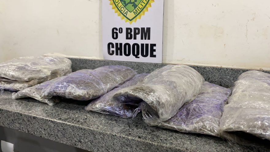 Choque detém jovem de 22 anos transportando 3,3 kg de skunk 