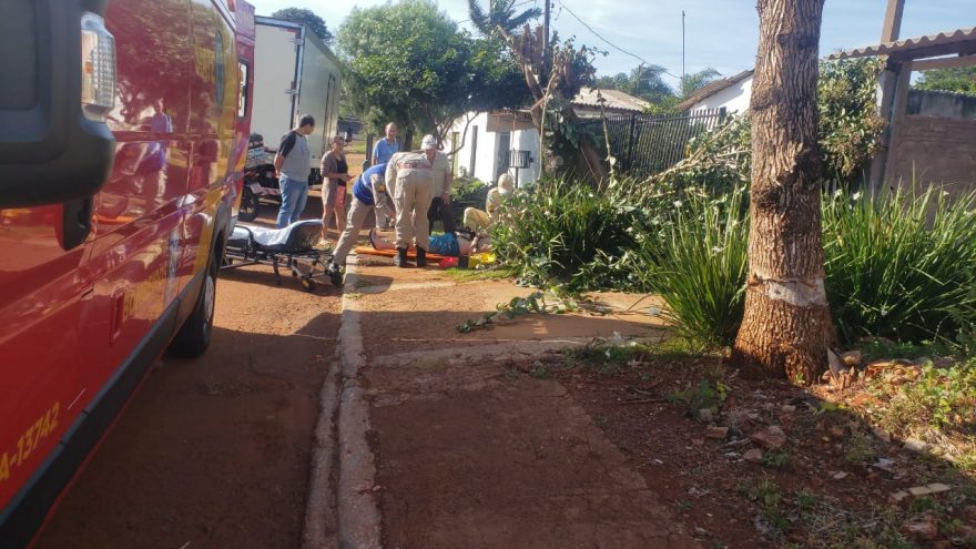 Homem sofre queda durante corte de árvore e precisa ser socorrido pelo Siate
