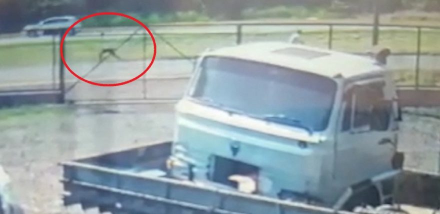 Veja o momento em que assaltante foge correndo após ferir motorista de aplicativo