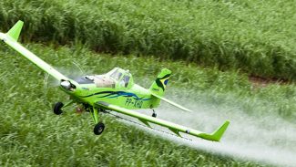 STF mantém lei do Ceará que proibiu pulverização aérea de agrotóxicos