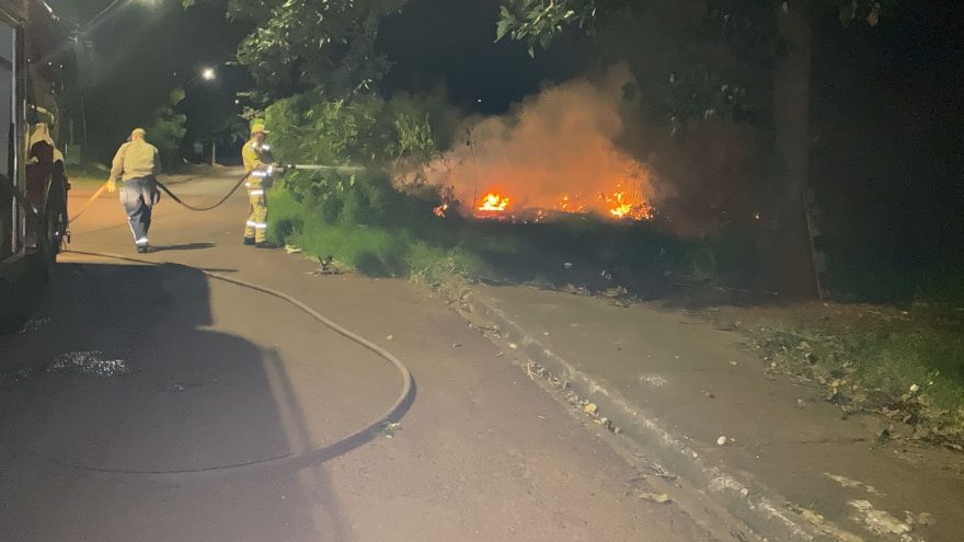 Bombeiros combatem incêndio em vegetação no Santa Cruz