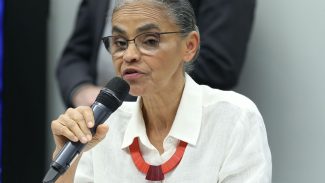 Marina Silva diz que Lula vai vetar trecho da MP da Mata Atlântica