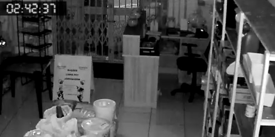 Câmeras de segurança registram arrombamento a comércio no Guarujá