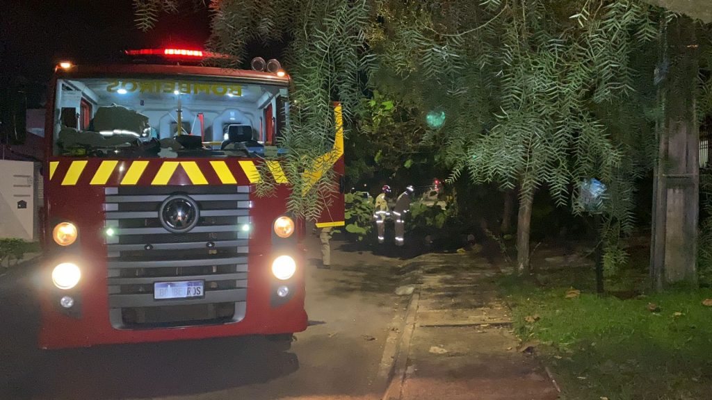 Árvore de grande porte cai e bombeiros são acionados, no São Cristóvão