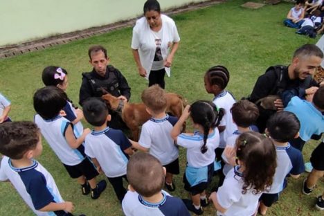 Imagem referente a Projeto educativo sobre animais em CMEIs de Maringá tem apoio de cães da Polícia Penal