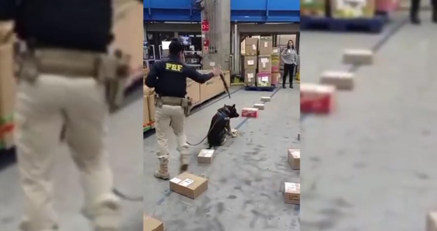 Polícia apreende drogas e medicamentos em encomendas nos Correios