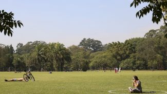 São Paulo celebra Semana do Meio Ambiente com atividades diversas
