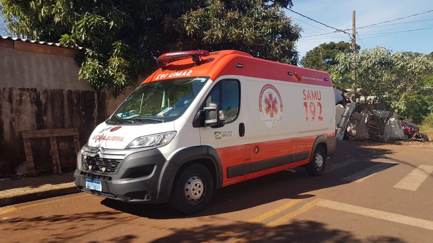 Ataque de abelhas mobiliza equipes do Samu e Corpo de Bombeiros no Parque dos Ipês