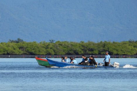 Regionais do IAT promovem ações de conscientização ambiental em todo o Paraná