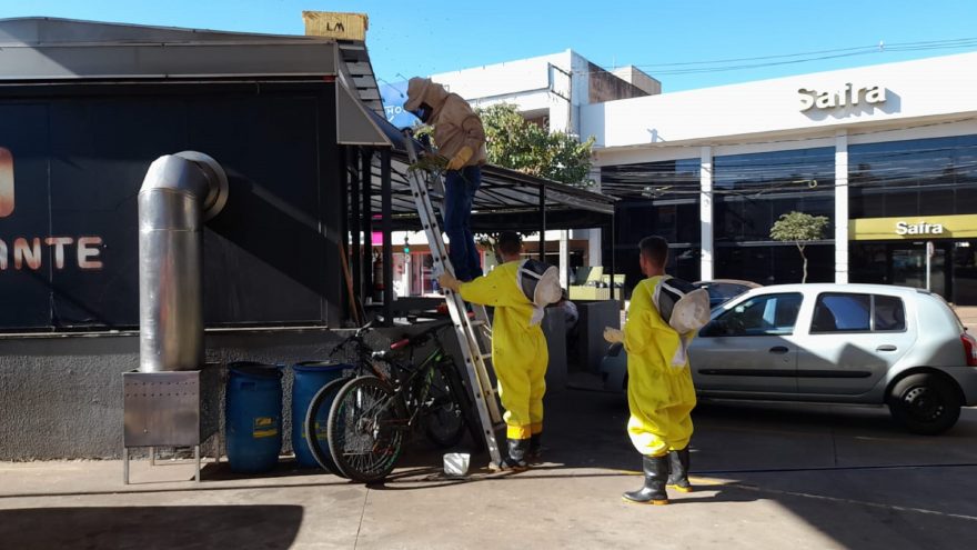 Defesa Civil retira enxame em telhado de lanchonete no Centro