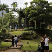 Painel Conserva Flora facilita acesso à flora ameaçada de extinção
