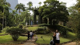 Painel Conserva Flora facilita acesso à flora ameaçada de extinção