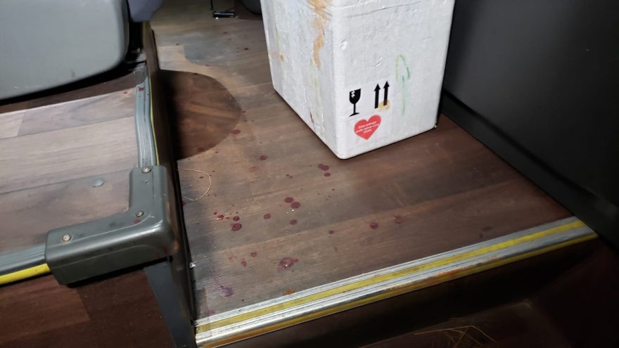 Assalto na BR-369: Cavalaria captura envolvido em tentativa de roubo a ônibus; PRF de folga estava no coletivo e evitou o crime