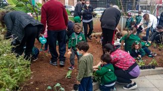 Alimentação escolar: projetos brasileiros são exemplo de boas práticas