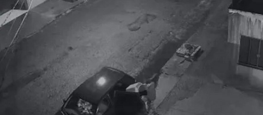 Imagens mostram motorista abandonando filhote de cachorro em Arapongas